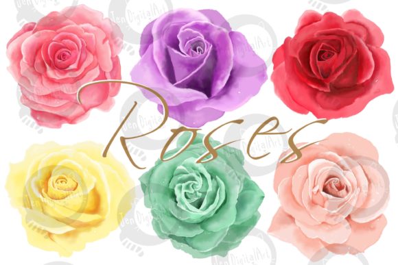 6 Digital Watercolor Roses