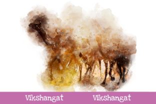 Camels Watercolor Art Illustrations