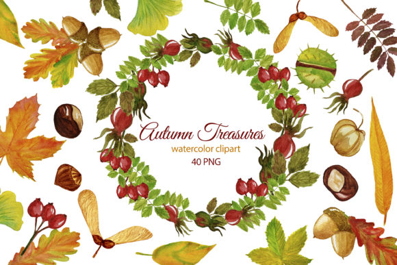 Fall Clipart. Watercolor Autumn Leaves