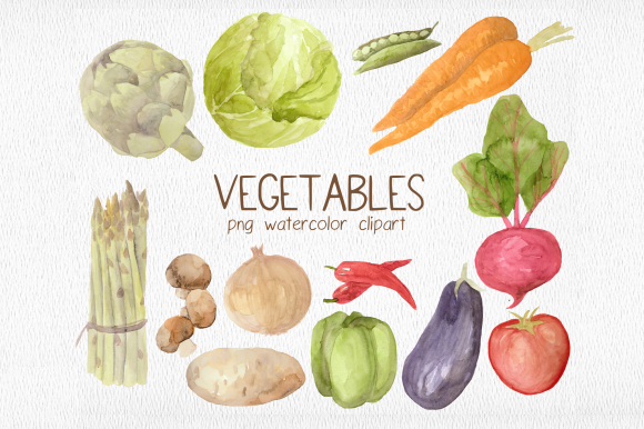 Garden Vegetables Watercolor Clipart Set and Illustrations
