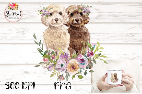 Labradoodle Goldendoodle Watercolor Illustrations