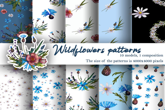 Patterns Watercolor Wildflowers Illustrations