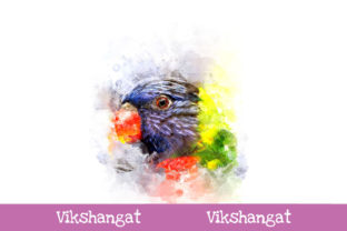 Rainbow Lorikeet Watercolor Art & Illustrations
