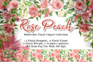 Rose Peach Watercolor Illustration