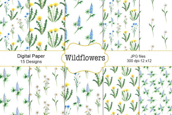 Seamless Pattern Wildflowers Watercolor Illustrations