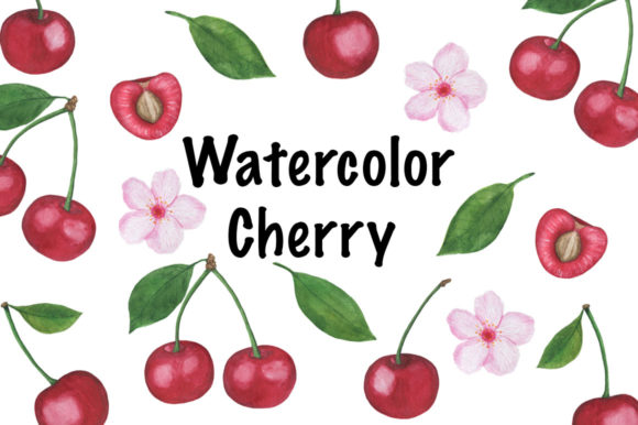 Set Cherry Watercolor Illustration