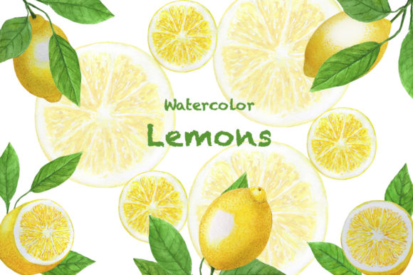 Set Lemons Watercolor Illustration