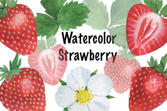 Set Strawberry Watercolor Illustrations