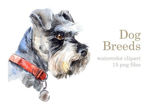 Set Watercolor Dogs and Illustrations