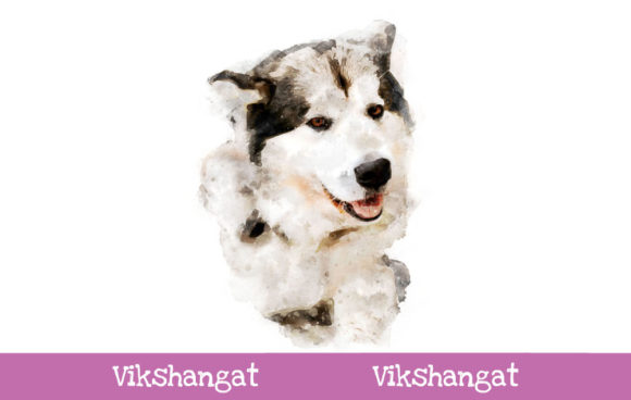 Siberian Husky Puppy Watercolor Art & Illustrations