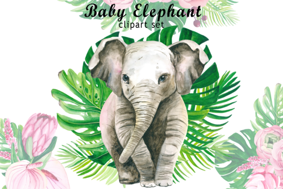 Watercolor Baby Elephant Clipart and Illustrations