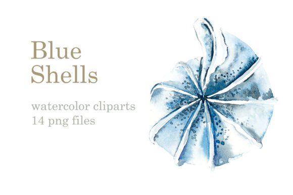 Watercolor Blue Sea Shells