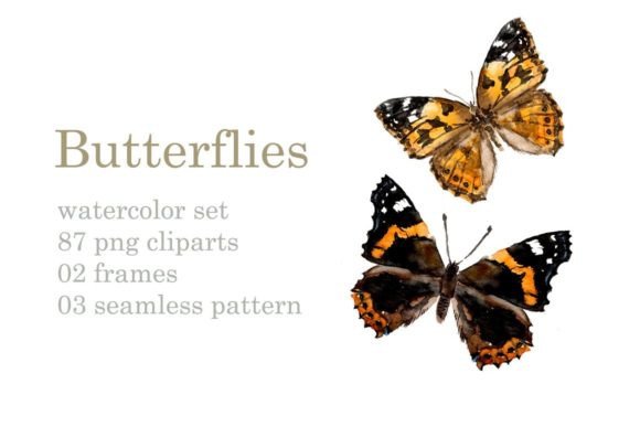 Watercolor Butterflies and Insects Illustrations