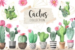 Watercolor Exotic Cactus Collection Illustrations