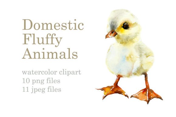 Watercolor Fluffy Pets Illustrations