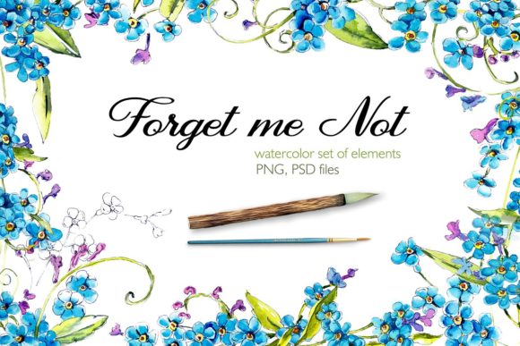 Watercolor Forget-me-nots Cliparts and Illustrations