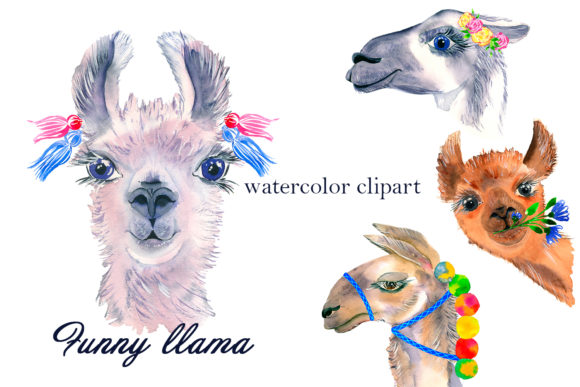 Watercolor Lama Clipart and Illustrations