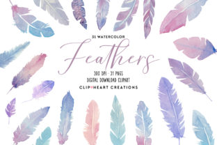Watercolor Pink Feather Clipart and Illustrations