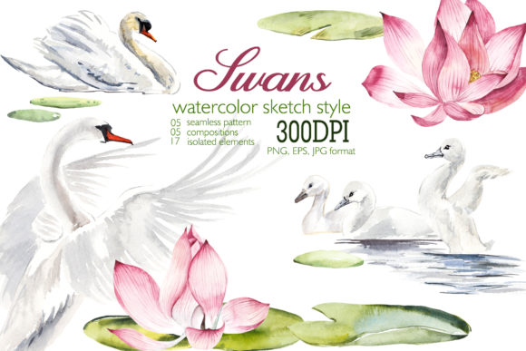 Watercolor Swans Illustrations