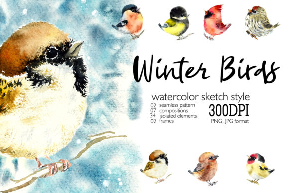 Watercolor Winter Birds Set and Illustrations